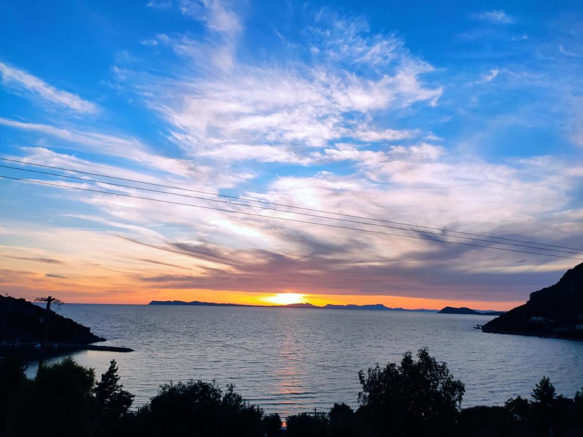 Sunset Apartments بيرديكا المظهر الخارجي الصورة